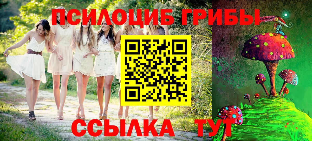 Галлюциногенные грибы прущие грибы Великий Новгород