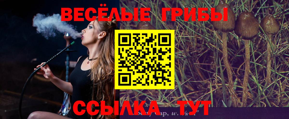 даркнет сайт  Вход с VPN  Псилоцибиновые грибы MAGIC MUSHROOMS  Великий Новгород  Галлюциногенные грибы мицелий 